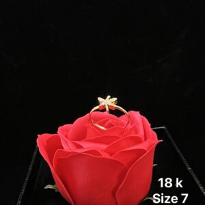 1,71g _size 7_18k_ring_