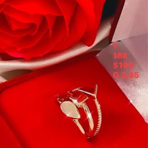 2,95g _size 7_18k _ring